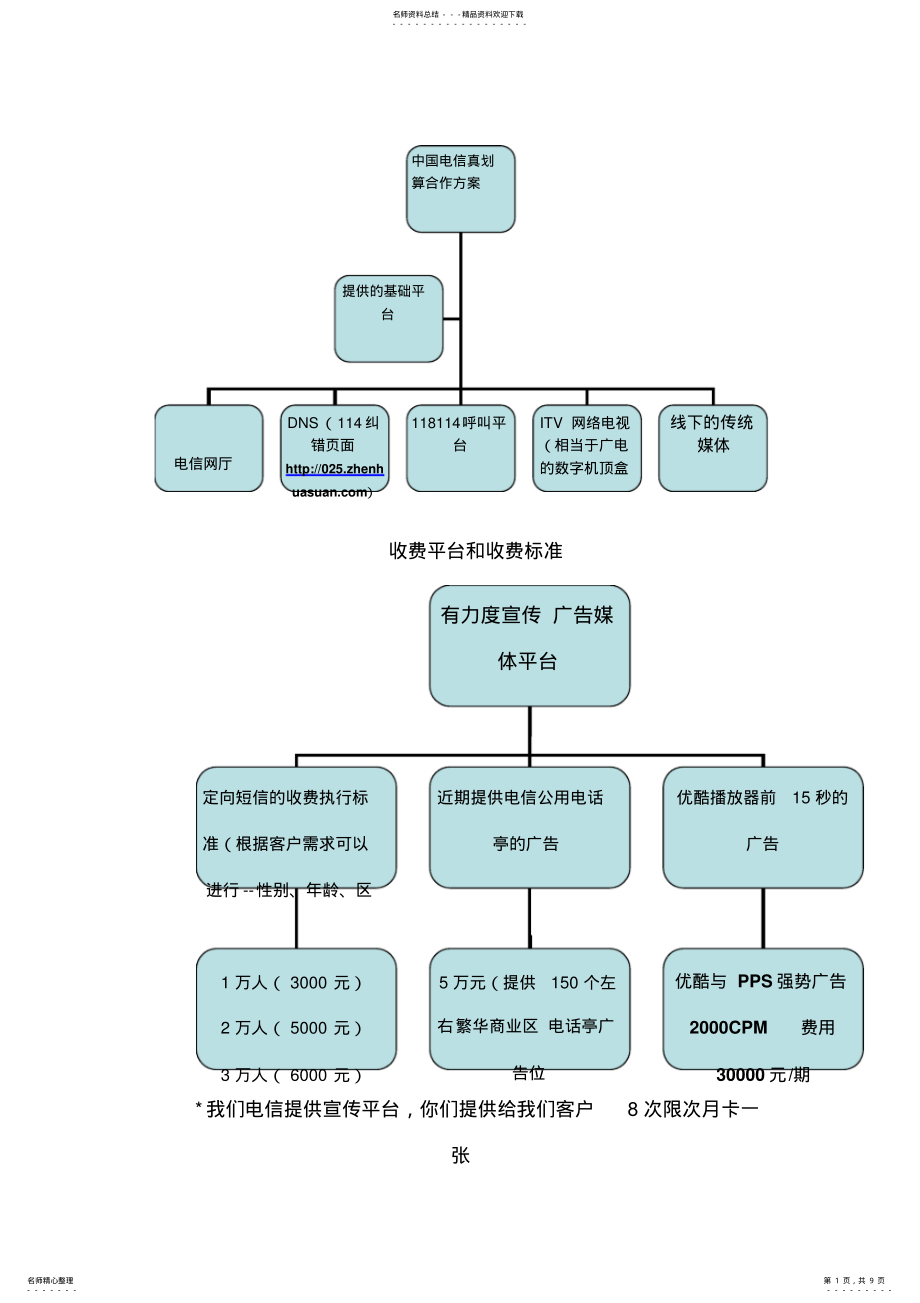 2022年电信合作推广方案_第1页