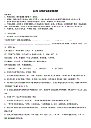 2022年海南省三亚市重点中学中考押题语文预测卷(含答案解析）