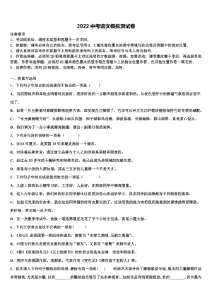 2022年海南省临高县美台中学中考联考语文试题(含答案解析）