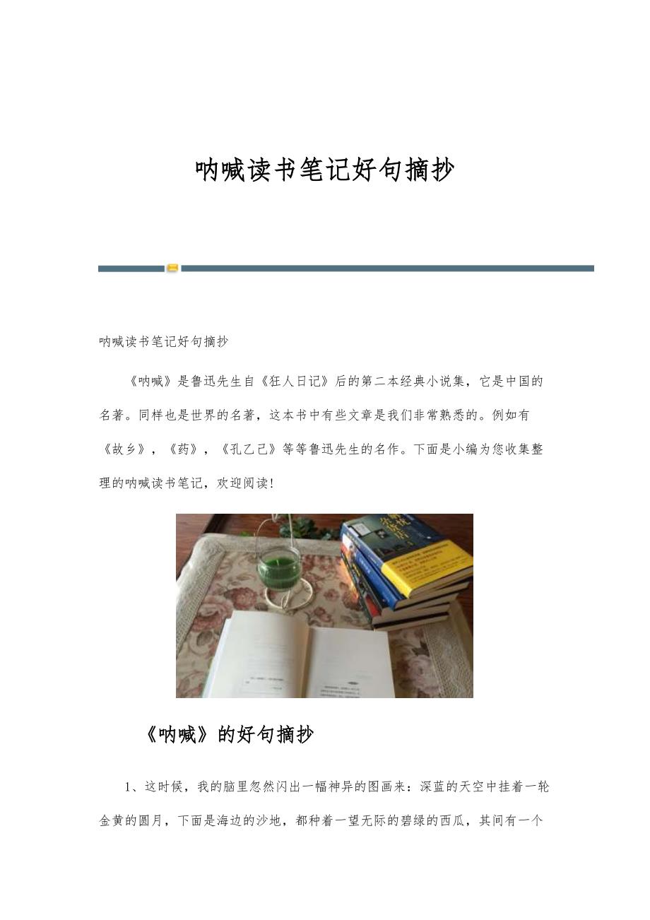 呐喊读书笔记好句摘抄_第1页