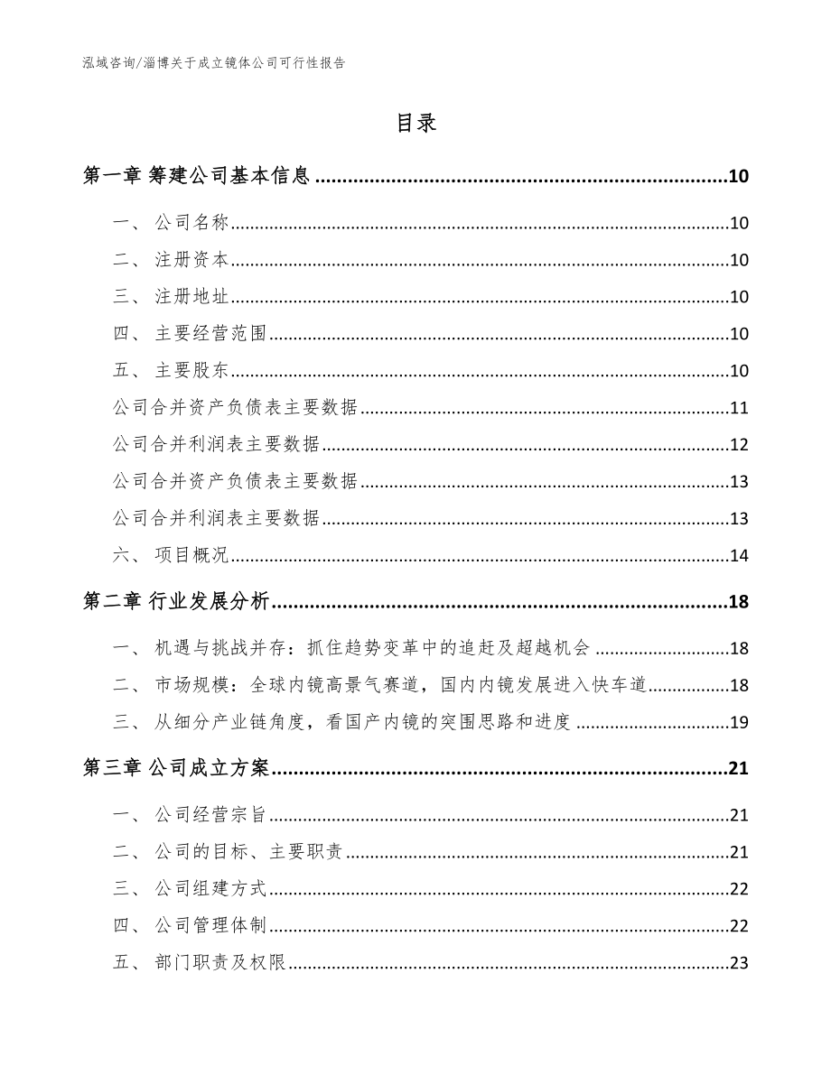 淄博关于成立镜体公司可行性报告_第2页