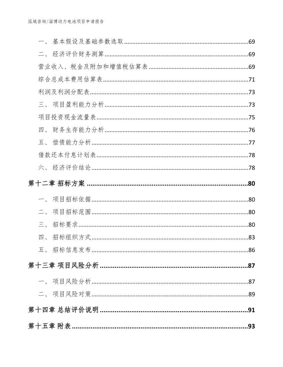 淄博动力电池项目申请报告（模板参考）_第4页