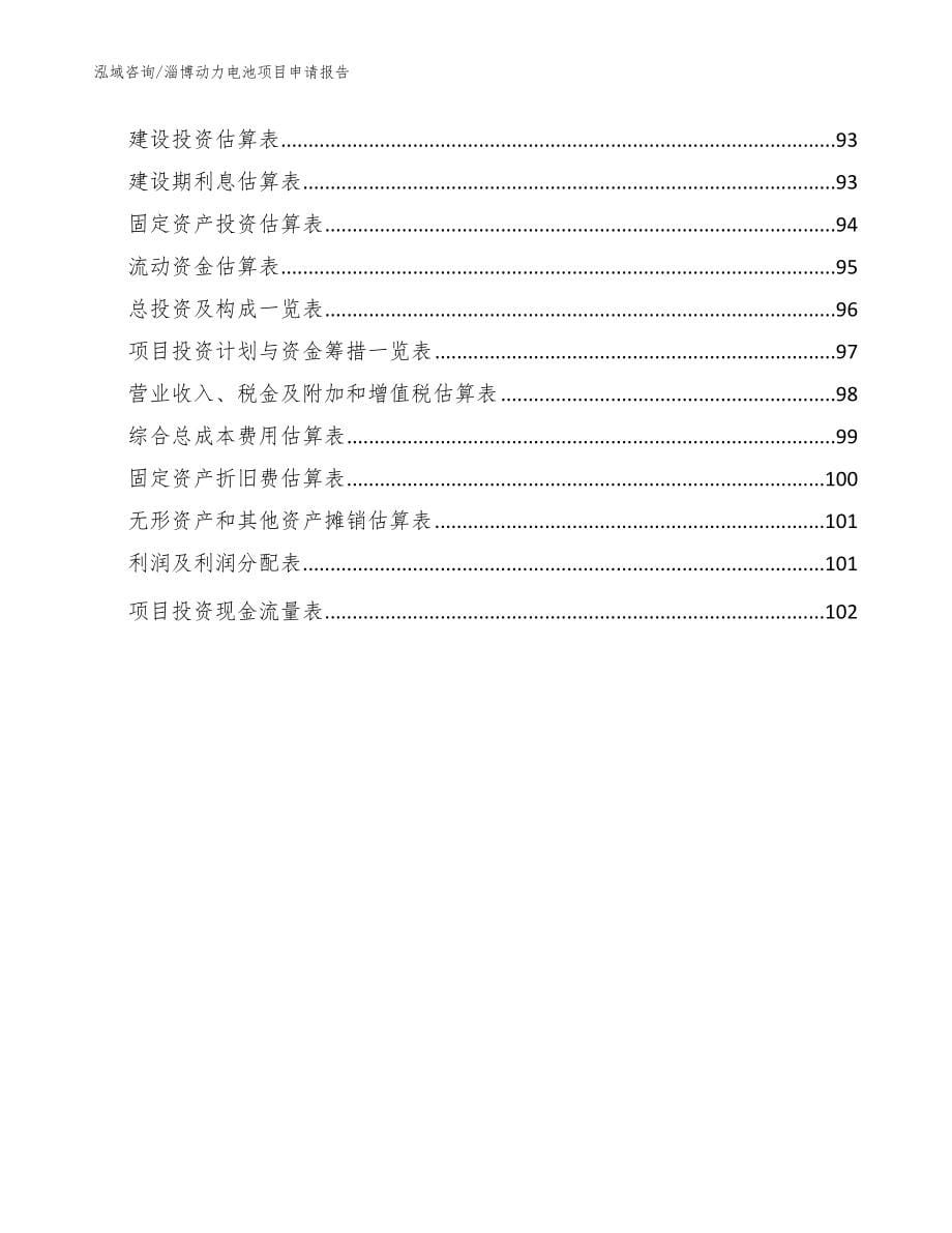 淄博动力电池项目申请报告（模板参考）_第5页