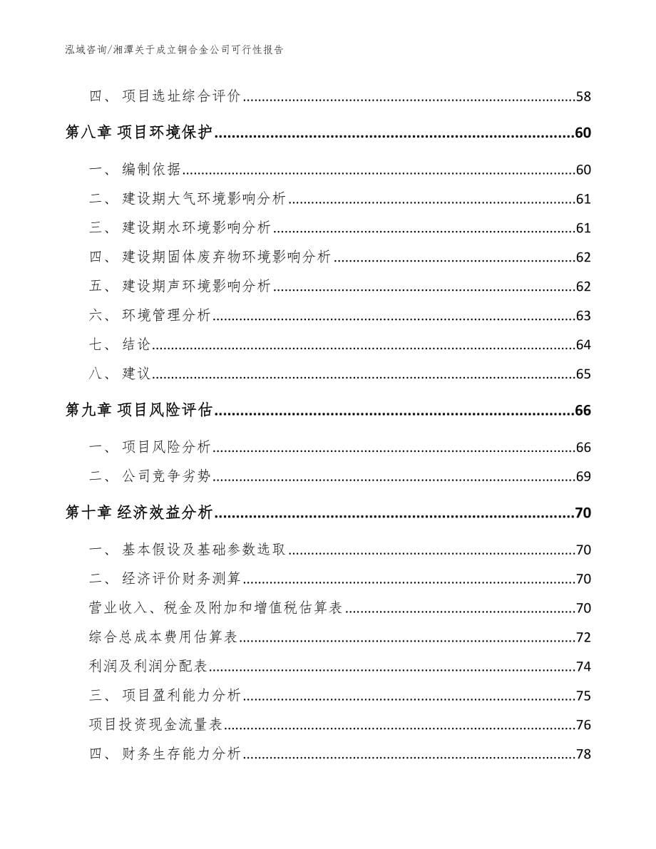 湘潭关于成立铜合金公司可行性报告【范文模板】_第5页