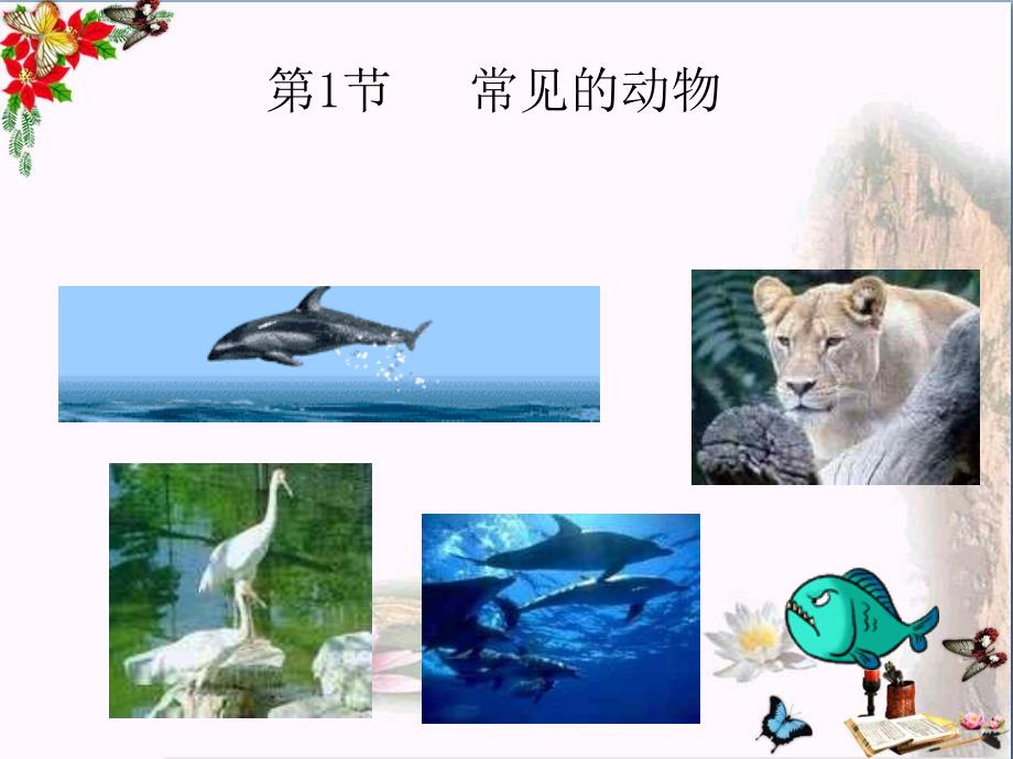 三年级科学上册22常见的动物课件湘教版_第1页