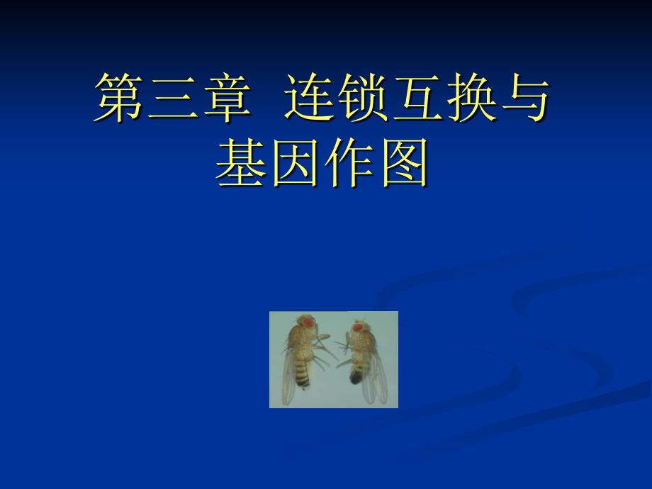 遗传学-第三章-连锁互换与基因作图课件_第1页