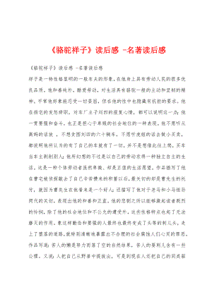 《骆驼祥子》读后感 -名著读后感