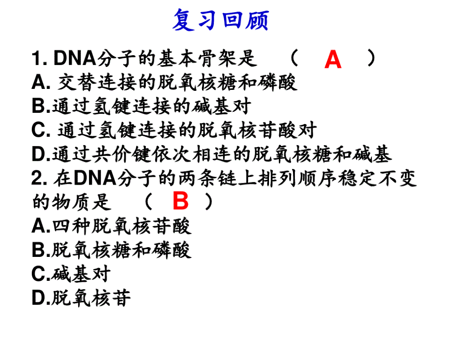 DNA的复制精美PPT课件_第2页
