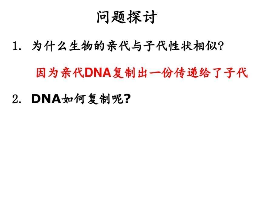 DNA的复制精美PPT课件_第5页