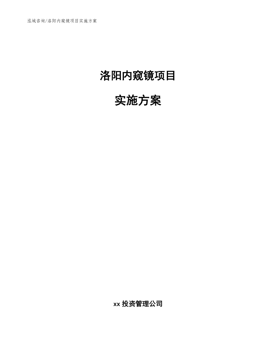 洛阳内窥镜项目实施方案参考模板_第1页