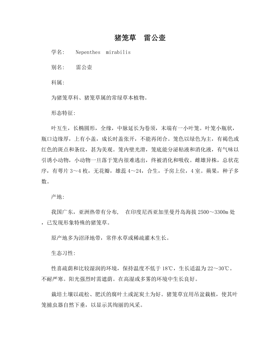 猪笼草--雷公壶_第1页