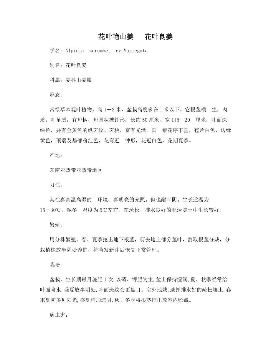 花叶艳山姜---花叶良姜_第1页