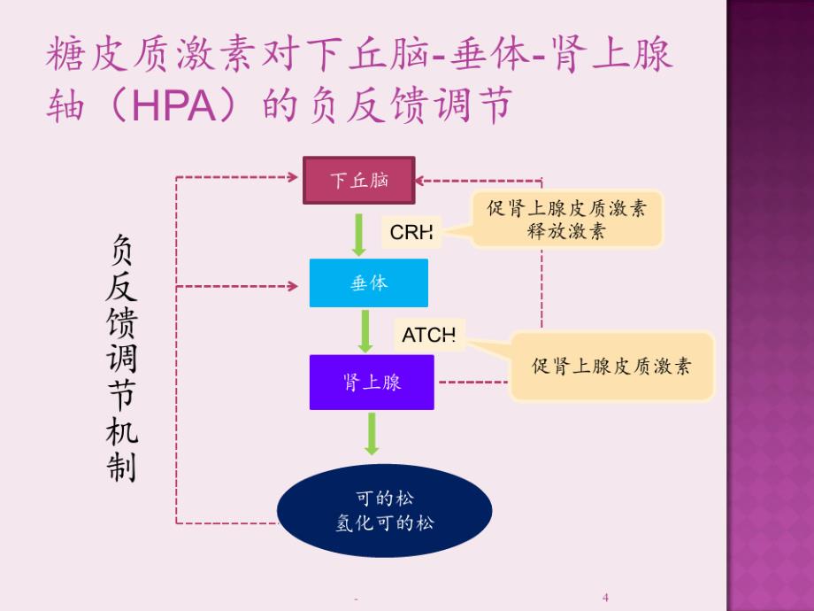 常用糖皮质激素类药物及其在神经内科的应用PPT课件_第4页