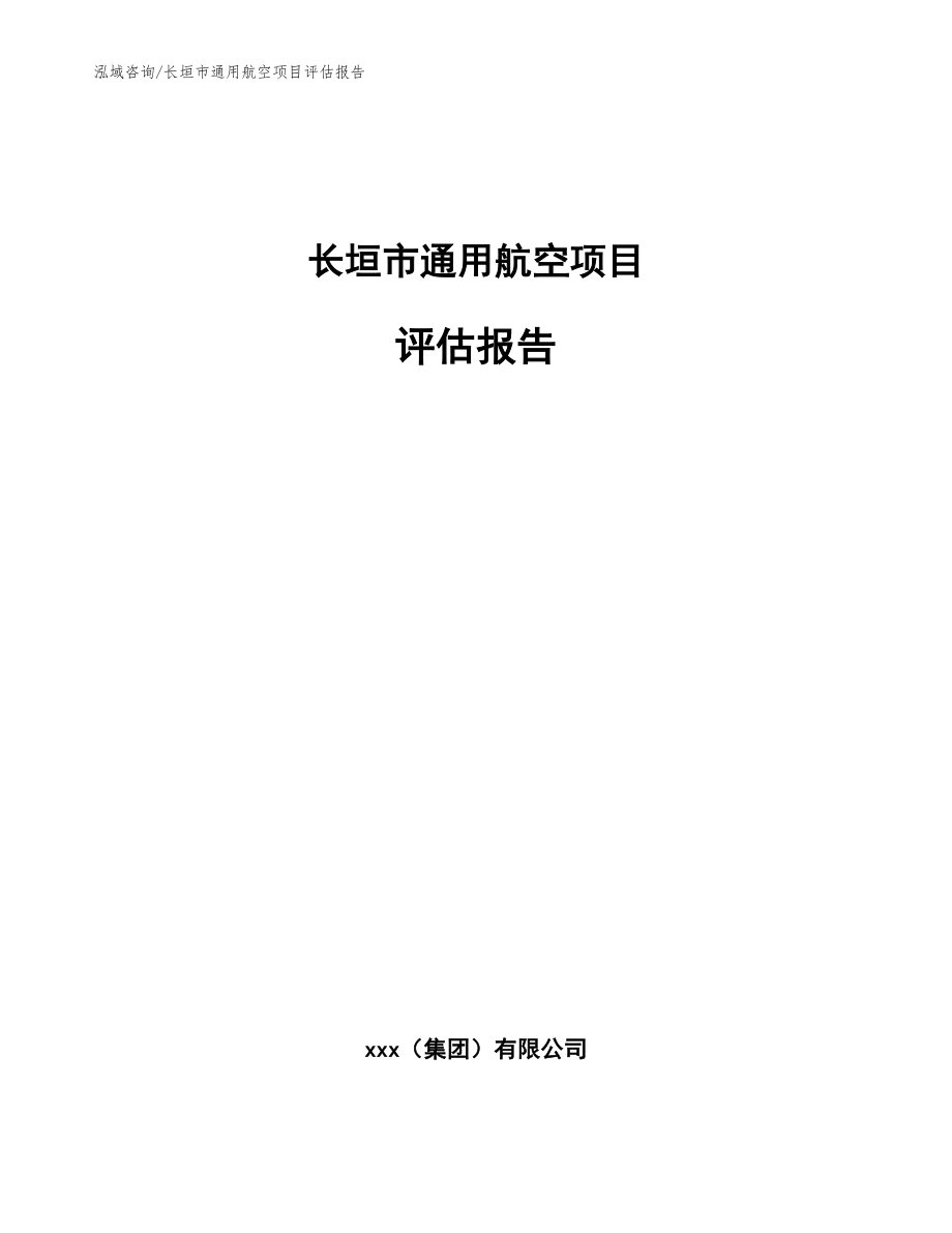 长垣市通用航空项目评估报告_模板参考_第1页
