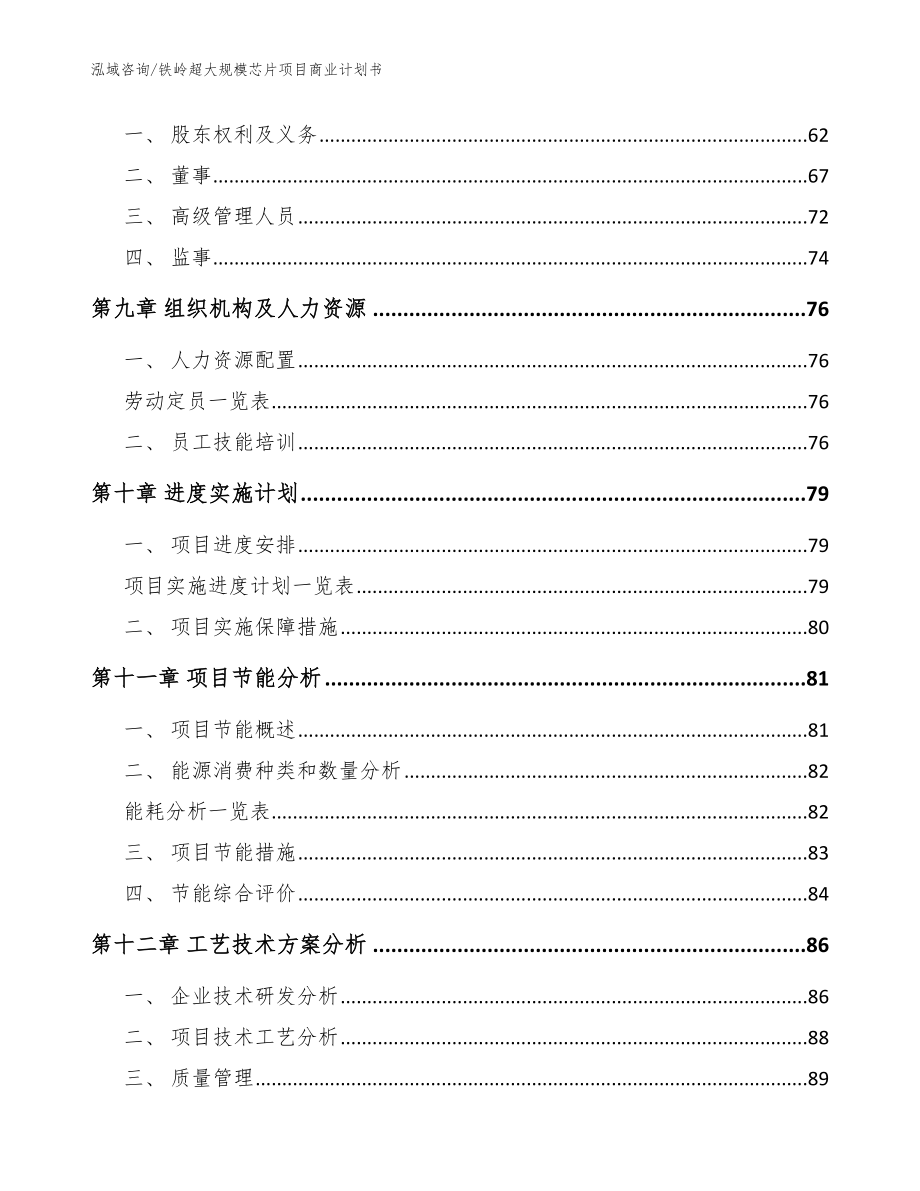 铁岭超大规模芯片项目商业计划书_第3页