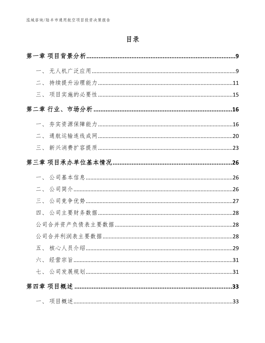 陆丰市通用航空项目投资决策报告_第2页