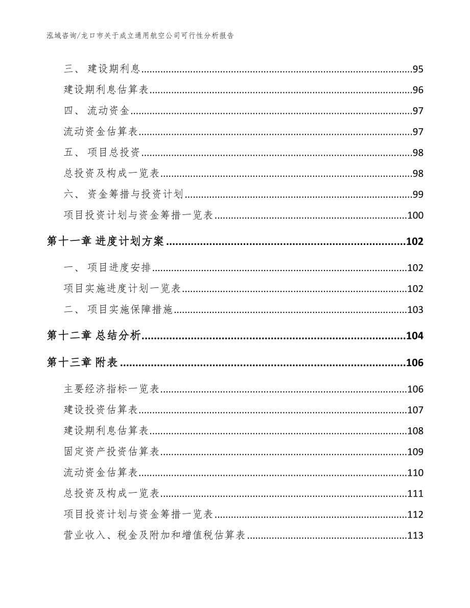 龙口市关于成立通用航空公司可行性分析报告_模板_第5页