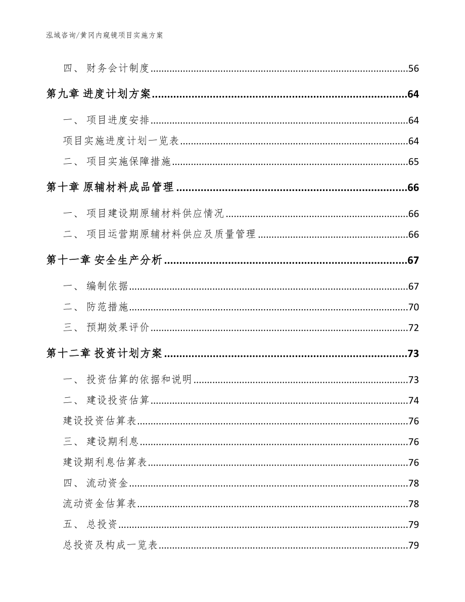 黄冈内窥镜项目实施方案_第4页