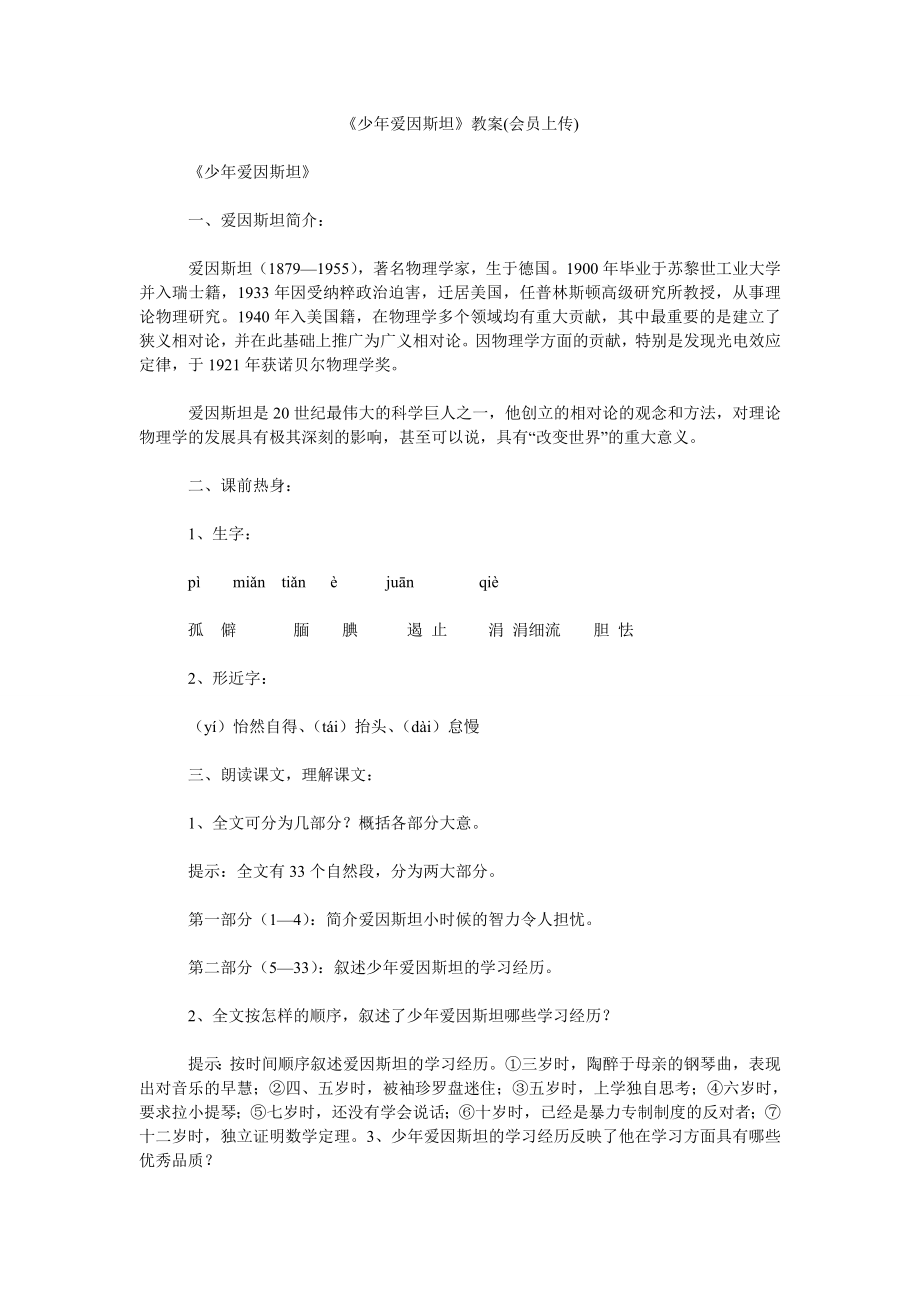 《少年爱因斯坦》教案(会员上传)_第1页