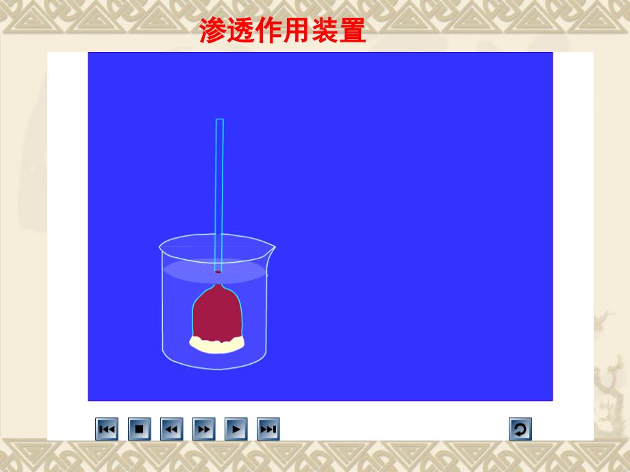 高中生物课件物质跨膜运输的实例课件_第3页