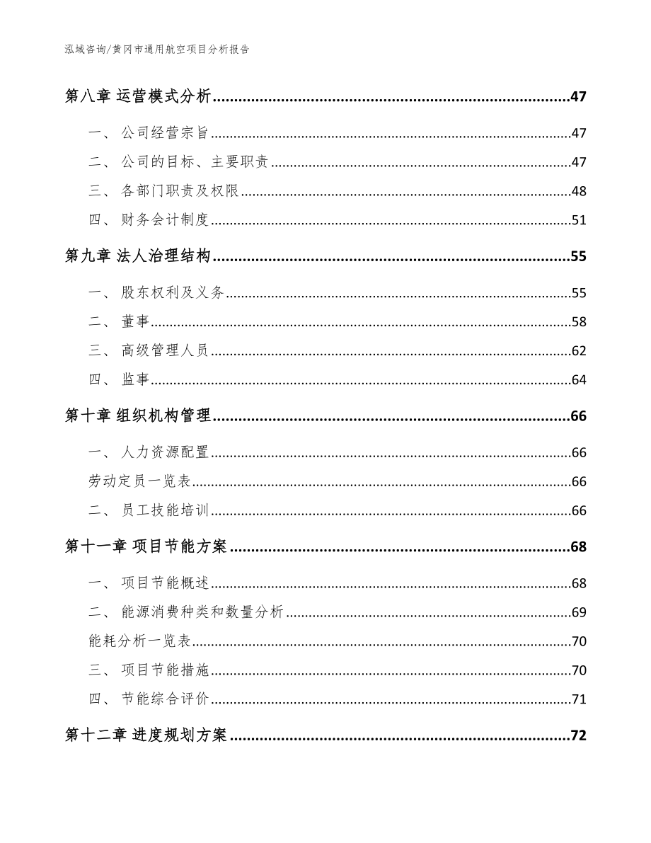 黄冈市通用航空项目分析报告模板范本_第3页