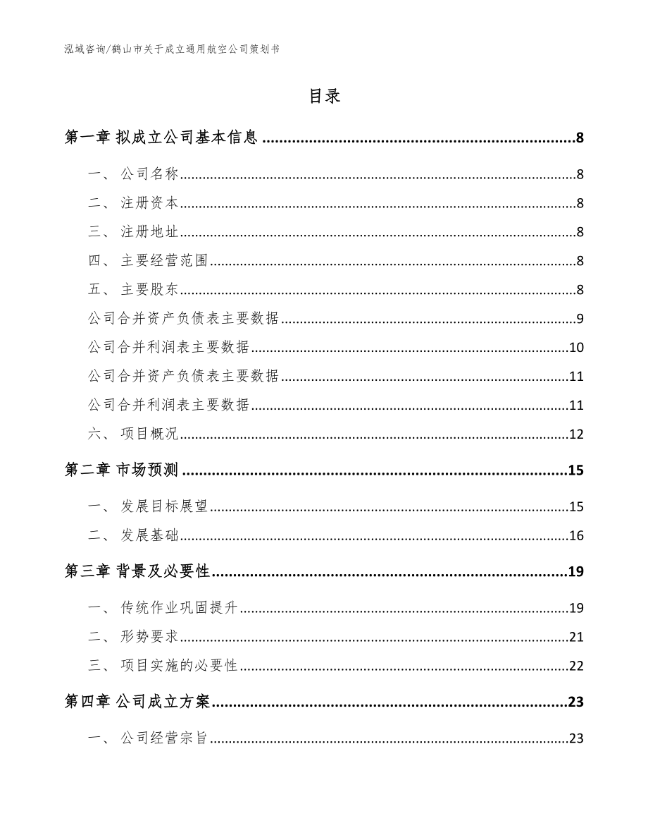 鹤山市关于成立通用航空公司策划书_范文参考_第2页