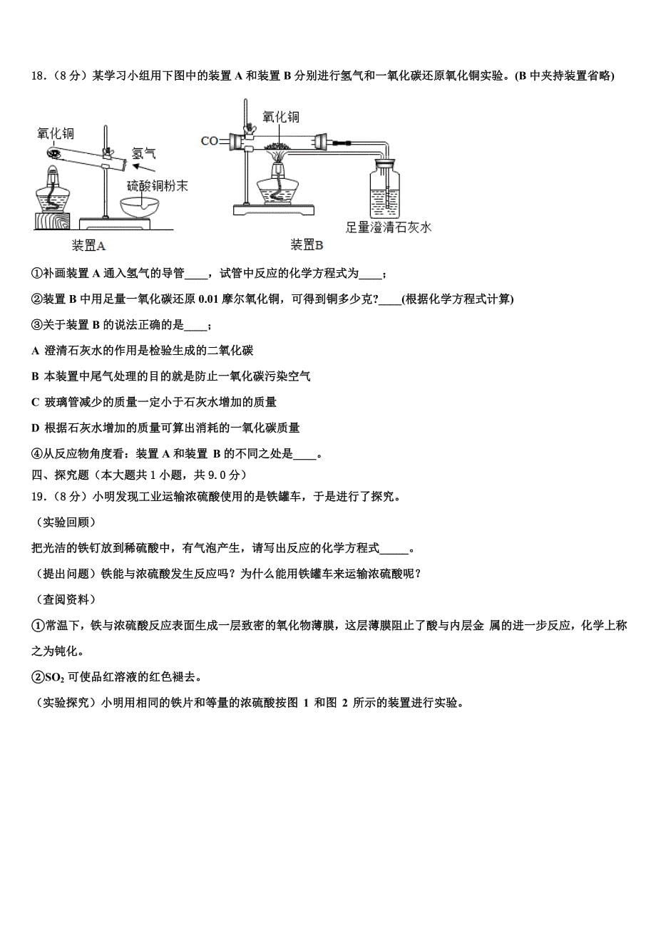 2022年湖北省武汉大附中中考化学最后冲刺模拟试卷含解析_第5页