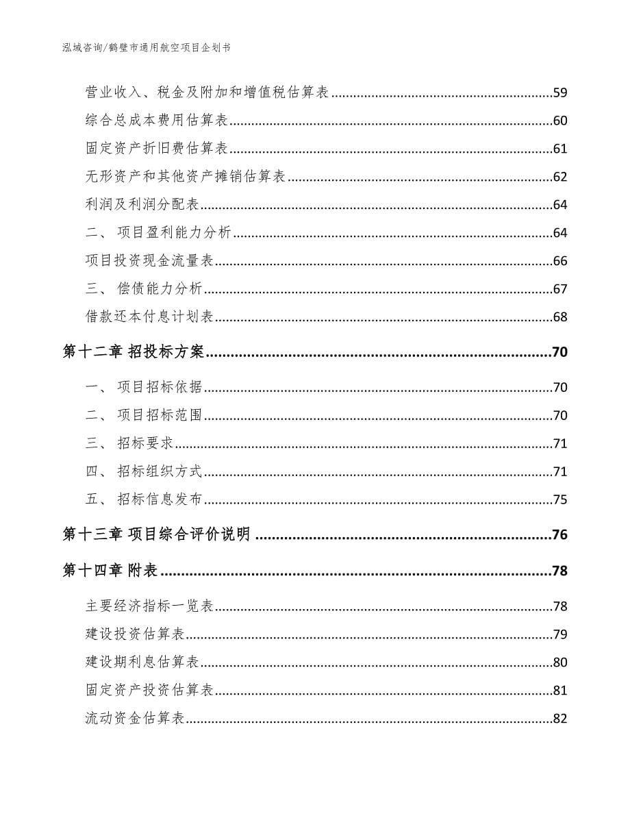 鹤壁市通用航空项目企划书范文参考_第5页