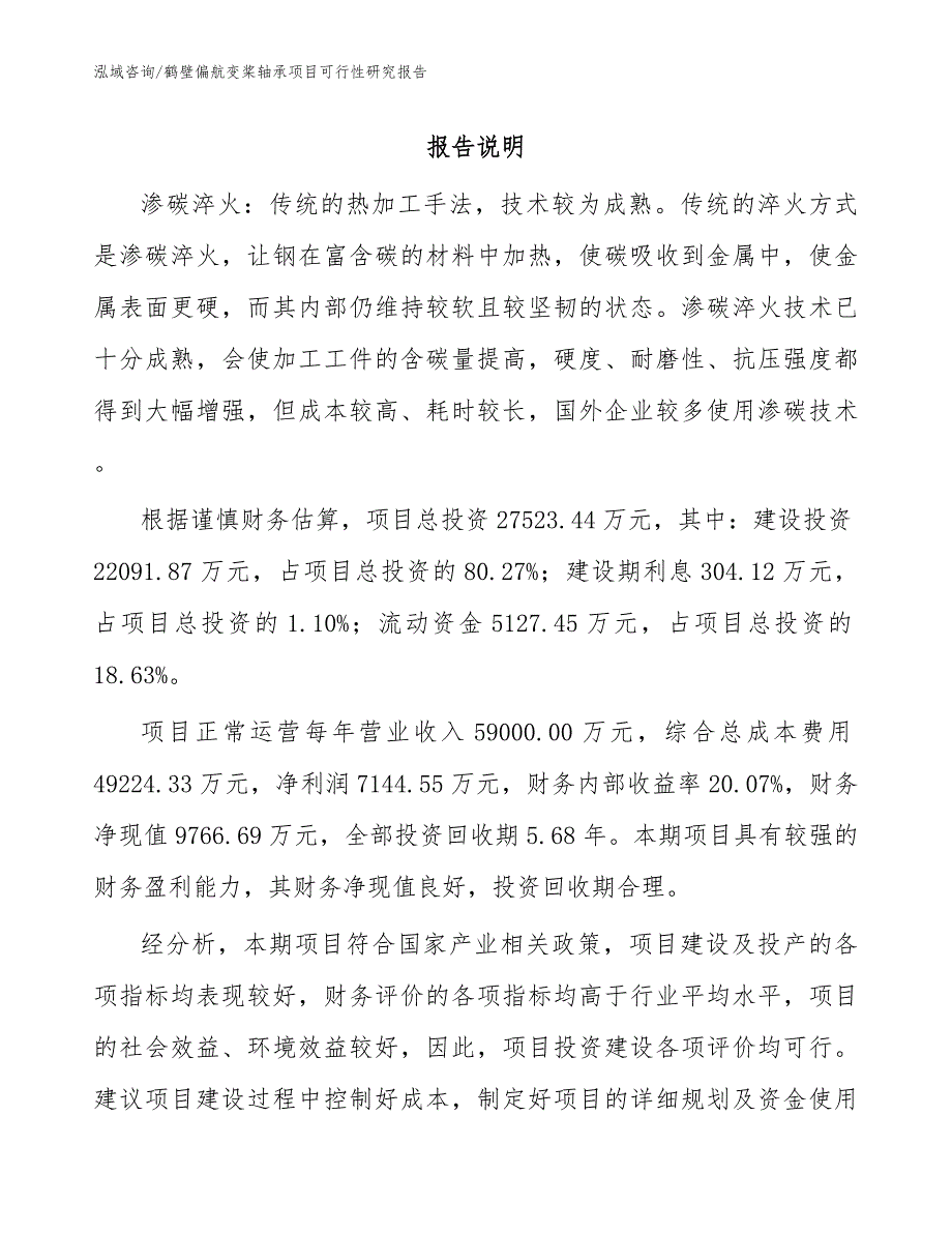 鹤壁偏航变桨轴承项目可行性研究报告模板_第1页