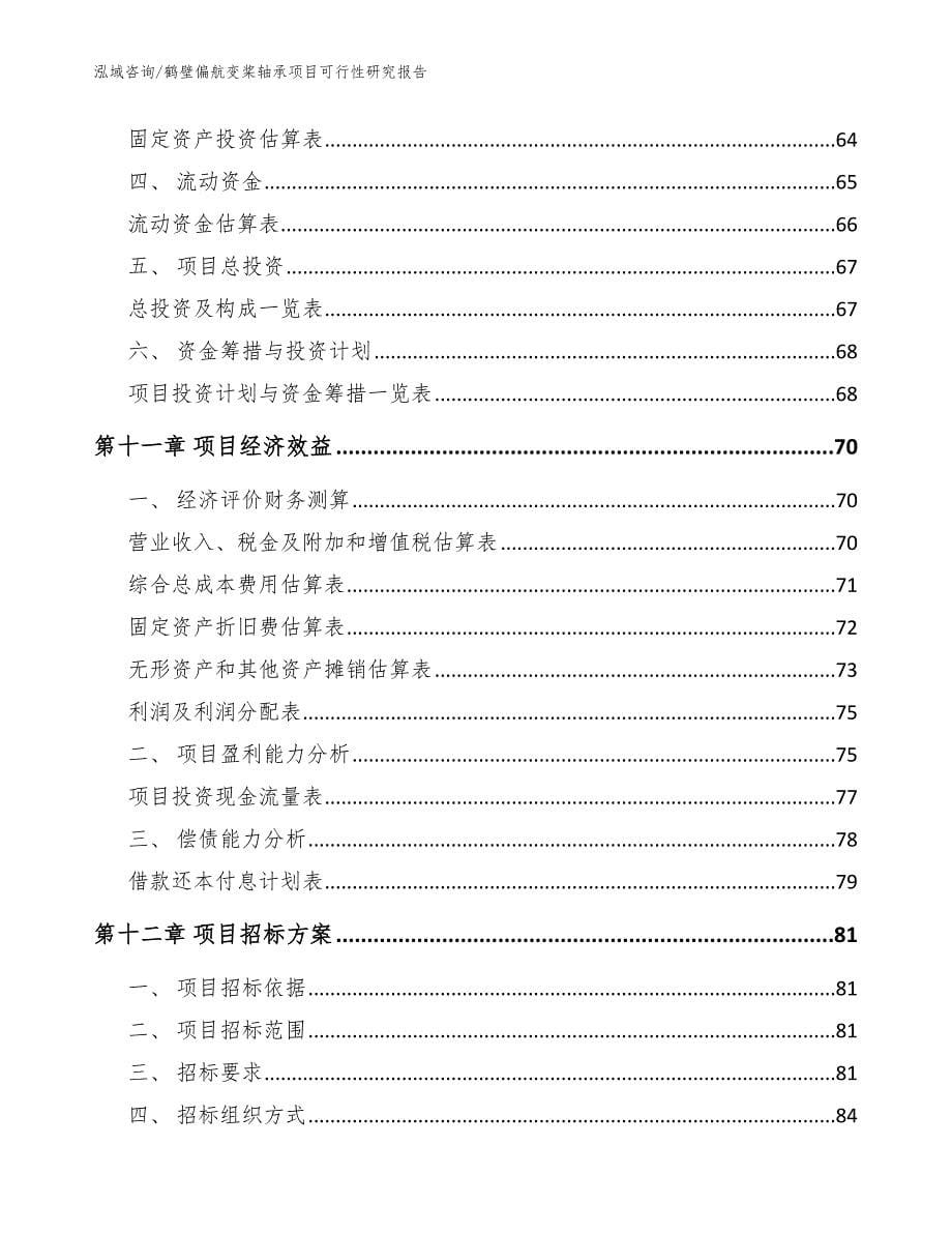 鹤壁偏航变桨轴承项目可行性研究报告模板_第5页