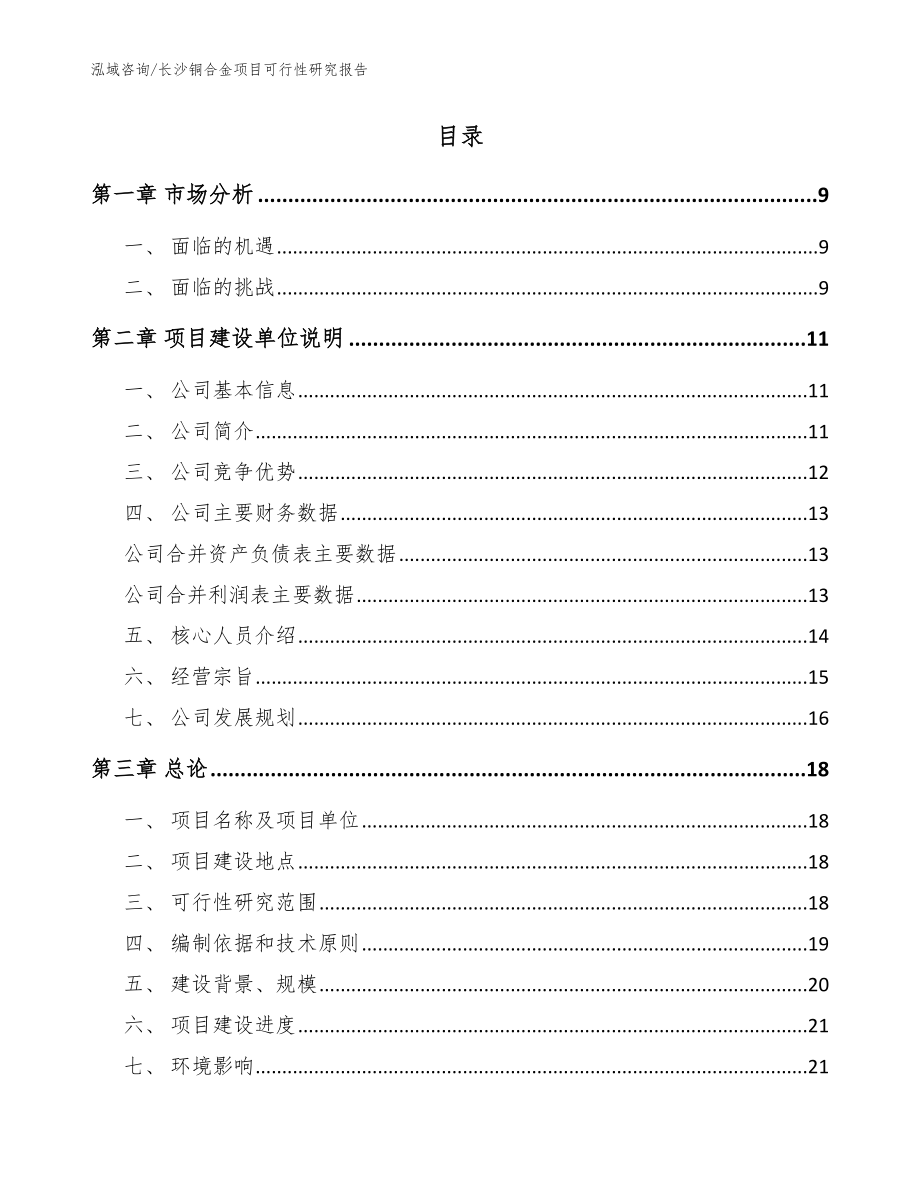 长沙铜合金项目可行性研究报告【参考范文】_第2页