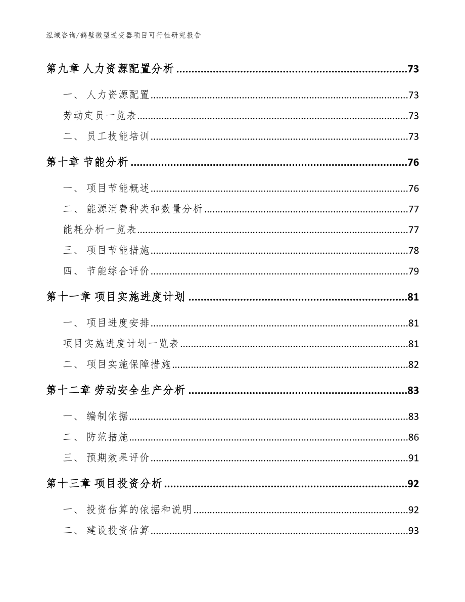 鹤壁微型逆变器项目可行性研究报告（模板范本）_第4页