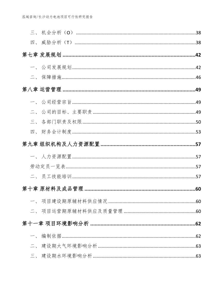 长沙动力电池项目可行性研究报告_第5页