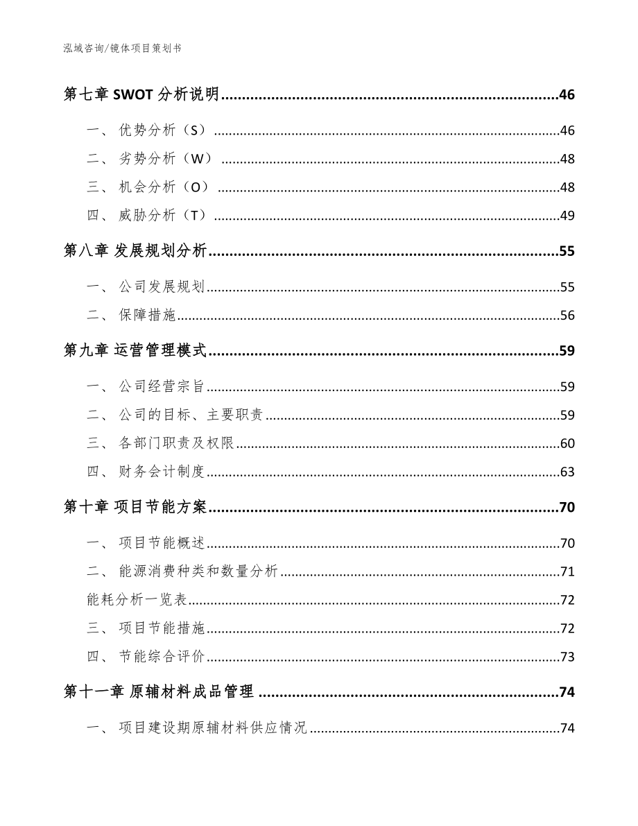 镜体项目策划书【模板范本】_第4页