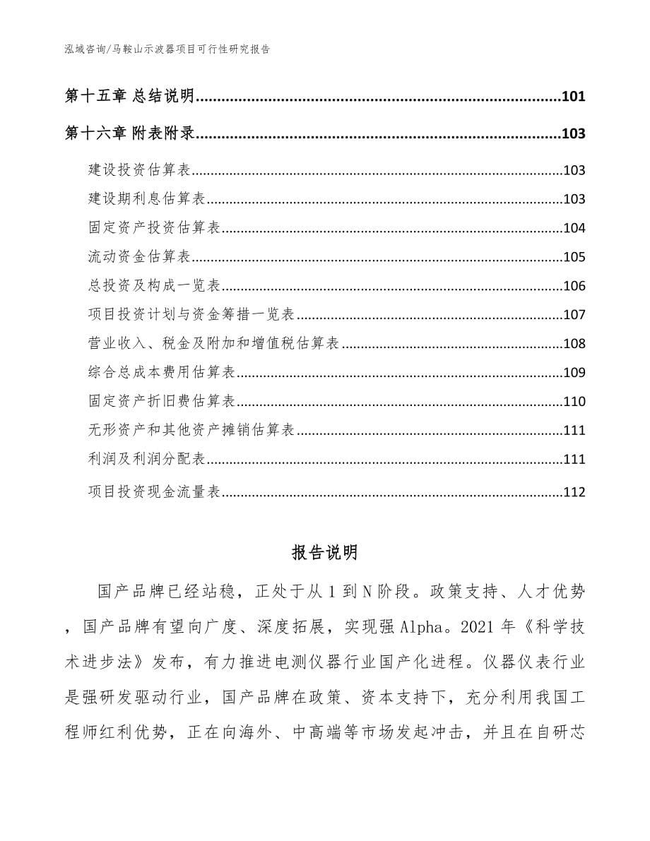 马鞍山示波器项目可行性研究报告_第5页