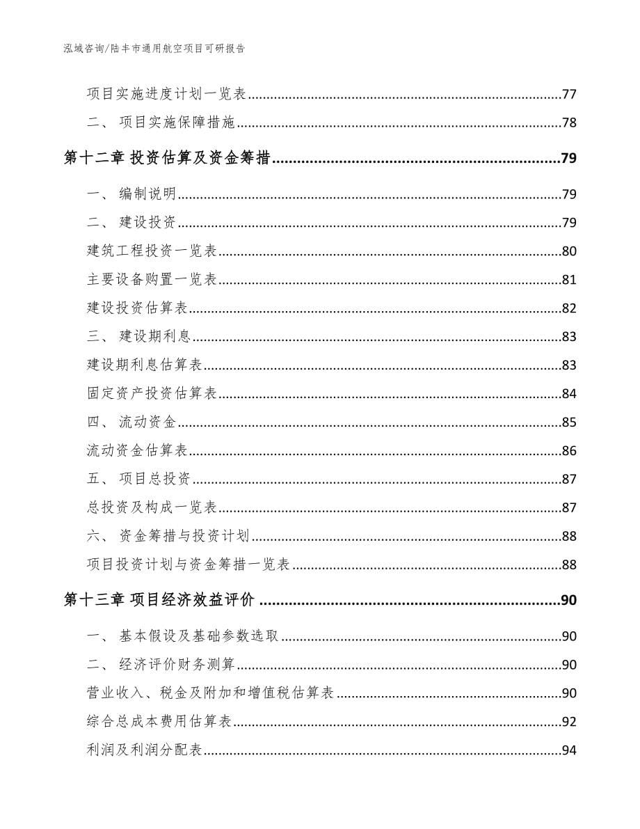 陆丰市通用航空项目可研报告_范文参考_第5页