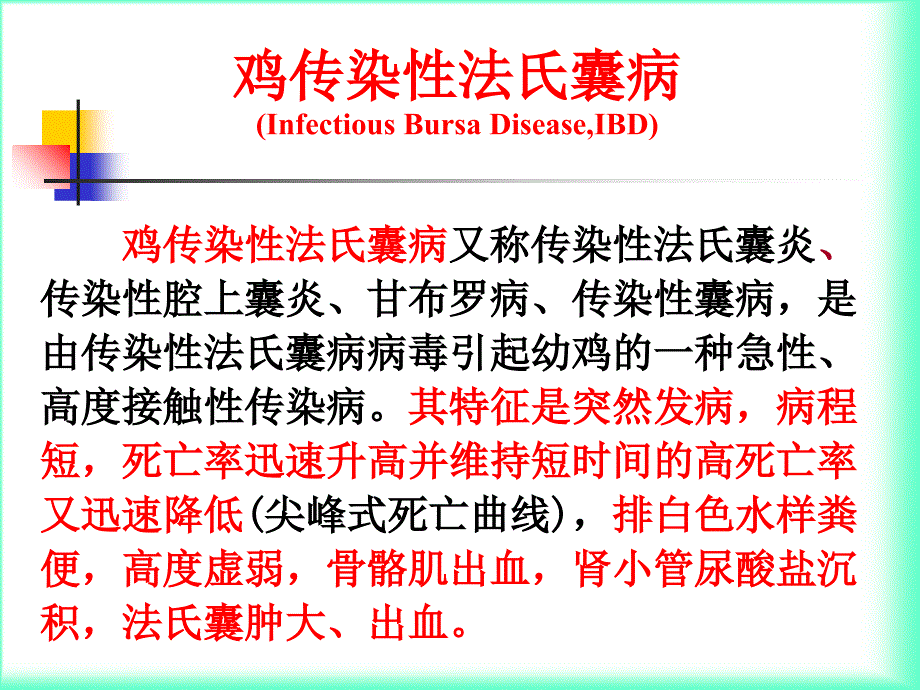 鸡传染性法氏囊病（精品）_第1页