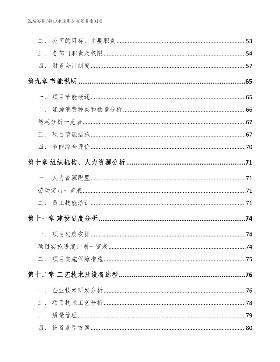 鹤山市通用航空项目企划书_范文模板_第3页