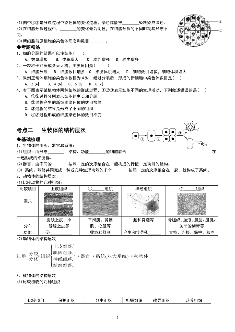 第二讲 细胞怎样构成生物体_第2页