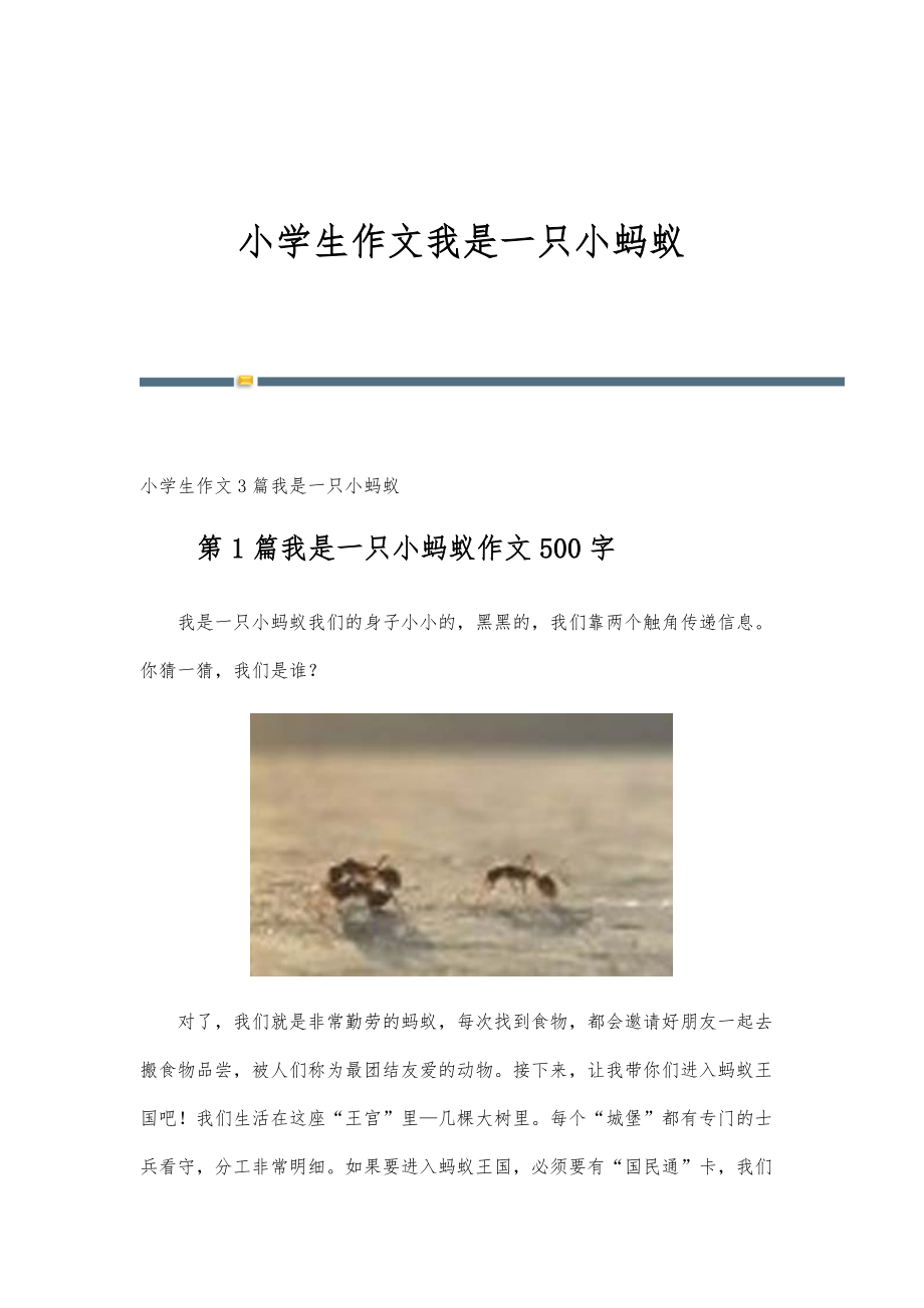 小学生作文我是一只小蚂蚁_第1页