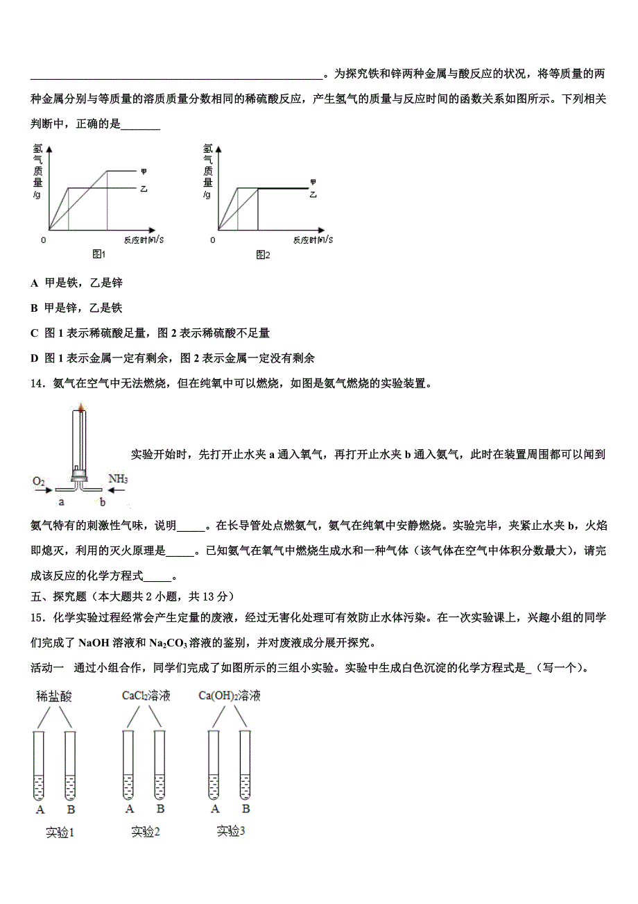 湖南省华容县2022年中考猜题化学试卷含解析_第4页