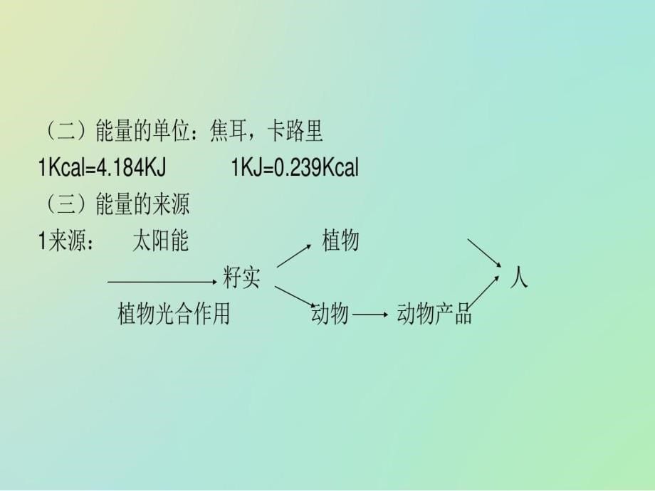 人体需要的热能营养素课件_第5页