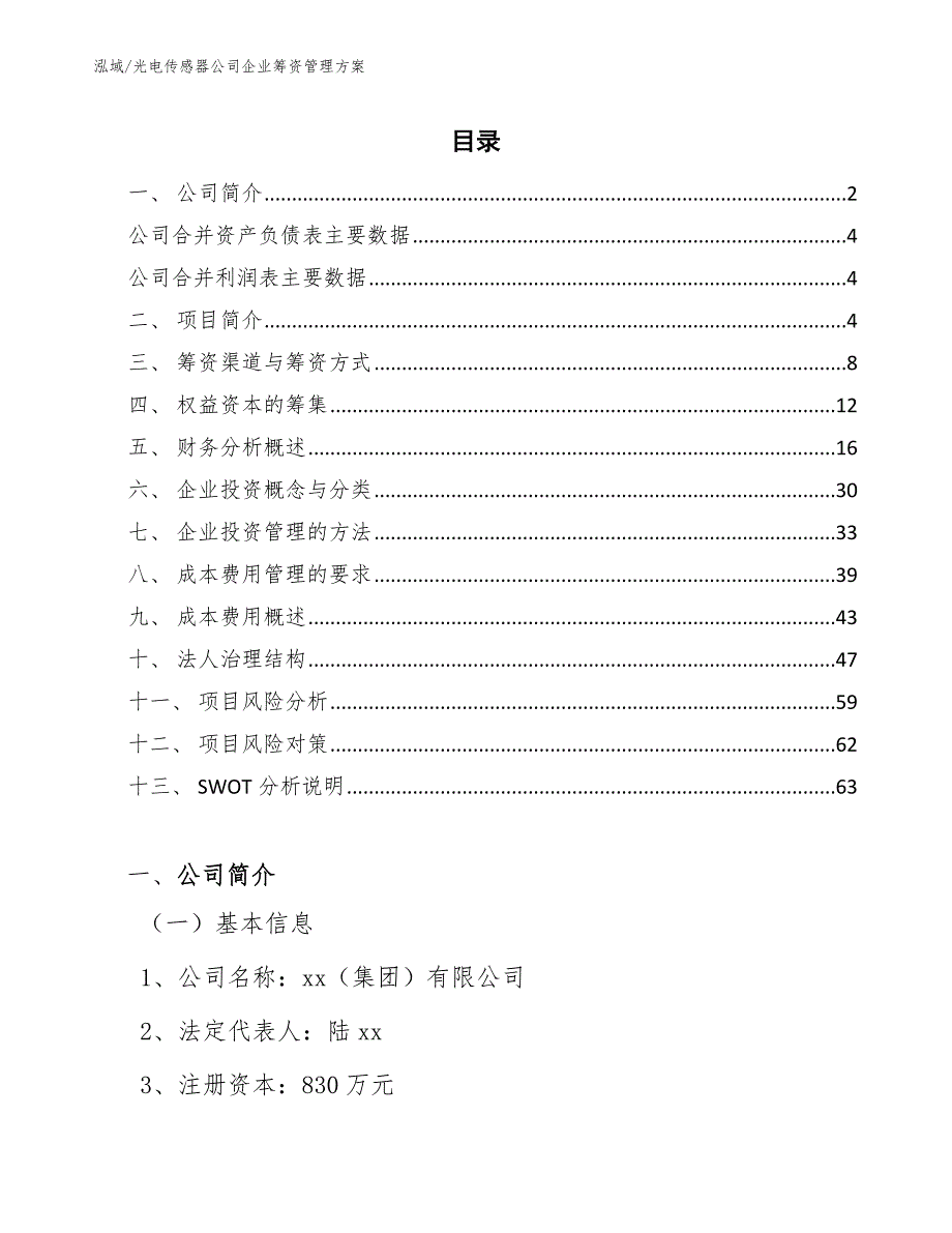 光电传感器公司企业筹资管理方案【范文】_第2页