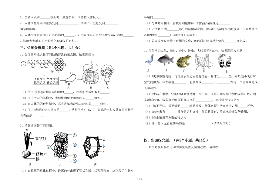 2022年秋年七年级《生物》上册期末考试带答案【1套】_第3页