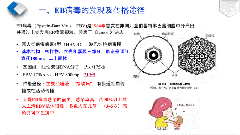 EBV相关非淋巴系统肿瘤课件_第4页