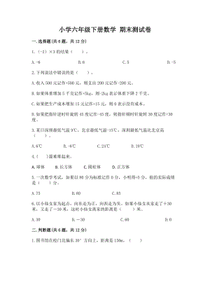 小学六年级下册数学期末测试卷（名校卷）