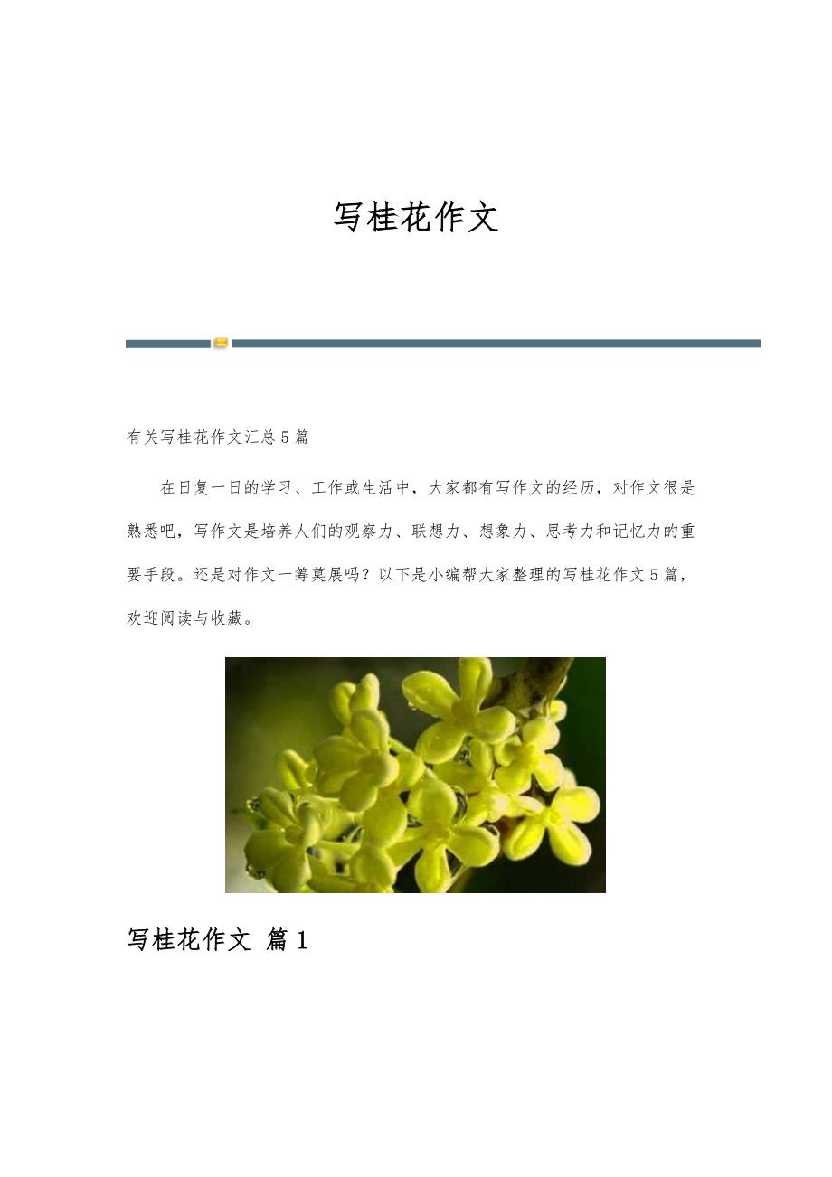 写桂花作文-精编第22篇_第1页