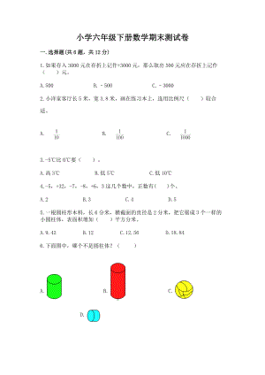 小学六年级下册（数学）期末测试卷审定版