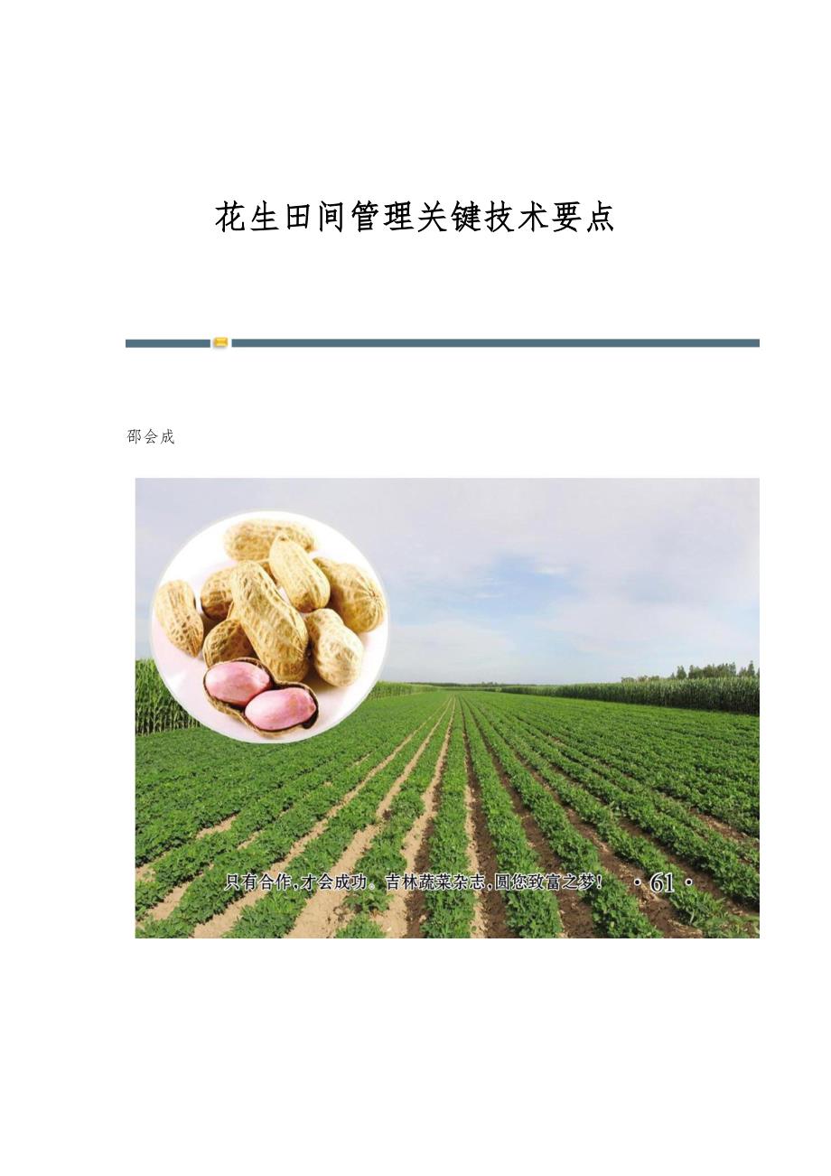 花生田间管理关键技术要点_第1页