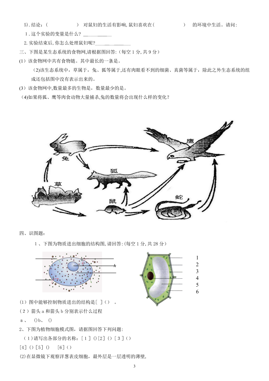 人教版七年级生物期中试卷含答案)试卷教案_第3页